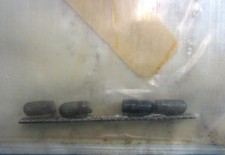 618-4088-003 INSTRUMENT LAMP ASSY, AVIATION